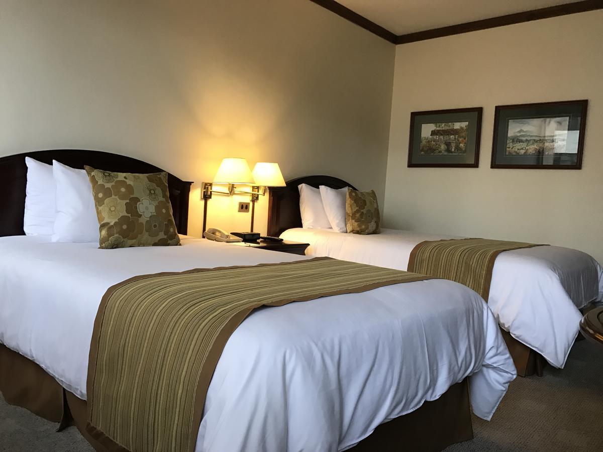 Socialtel Quito Hotell Eksteriør bilde