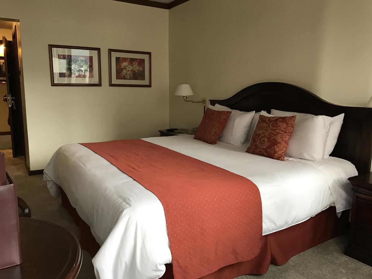 Socialtel Quito Hotell Eksteriør bilde