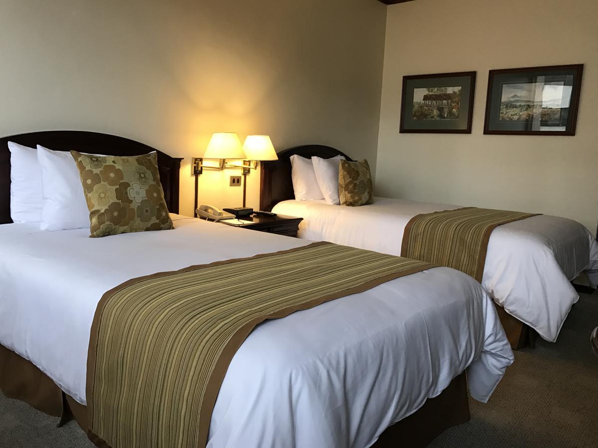 Socialtel Quito Hotell Eksteriør bilde